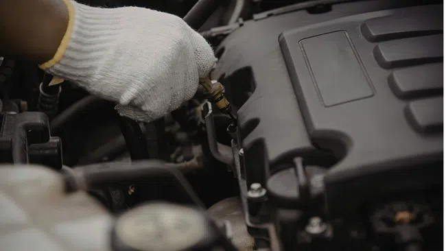 Close-up of a gloved hand performing maintenance on a car engine under the hood.