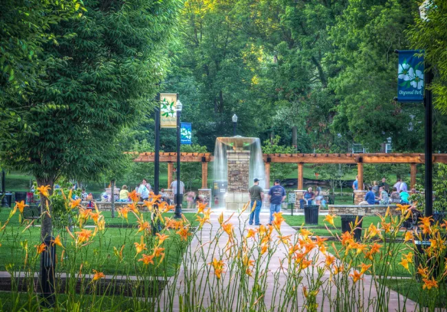 a group of people at a park.