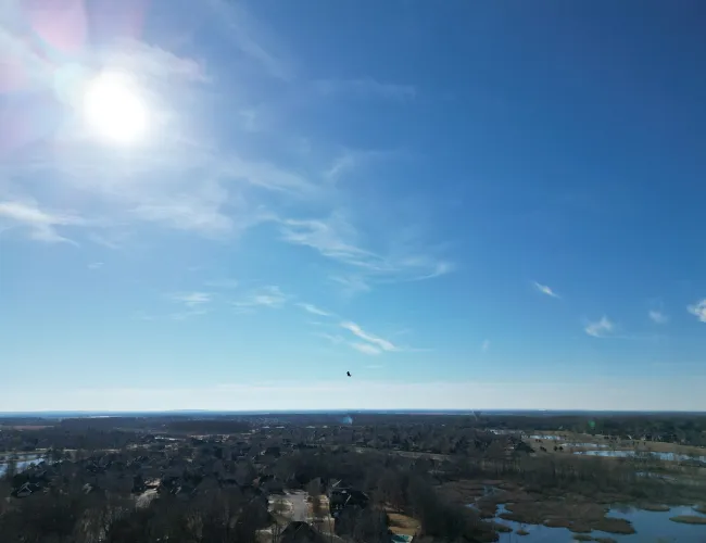 Clear sky over suburban neighborhood with sun shining and bird flying above houses and wetlands.