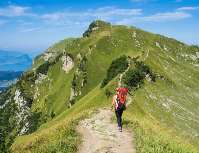 a person hiking on a trail