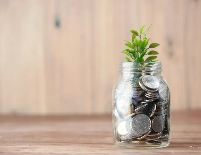 a plant in a glass jar