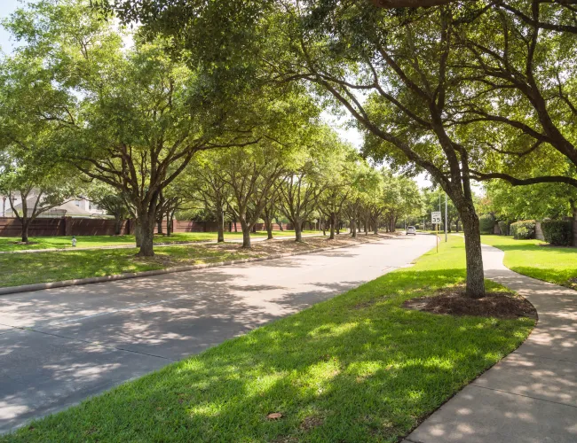 a sidewalk with trees and grass