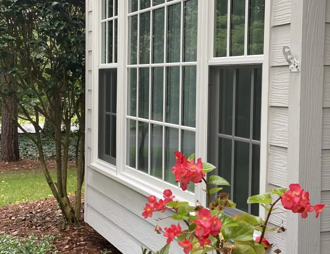 Red flowering plant in decorative pot near white-framed windows on a house with greenery surrounding.