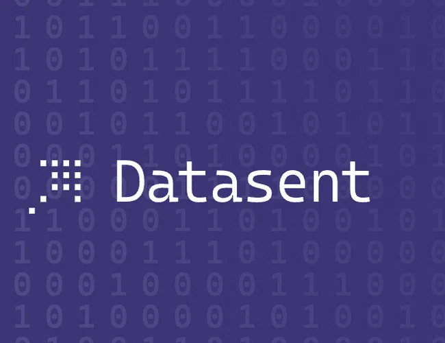 Datasent logo with white text and digital pixel icon on a purple background with binary code pattern.