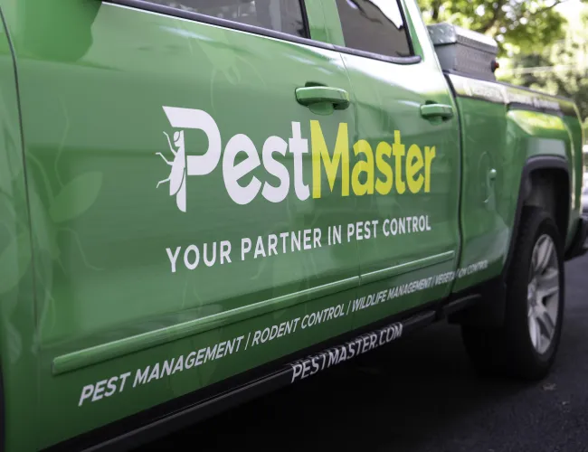 a green van with white text