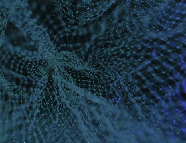 a close up of a spider web