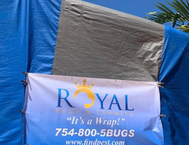 Royal Pest & Termite banner on a wrapped structure with phone number and website under clear blue sky.