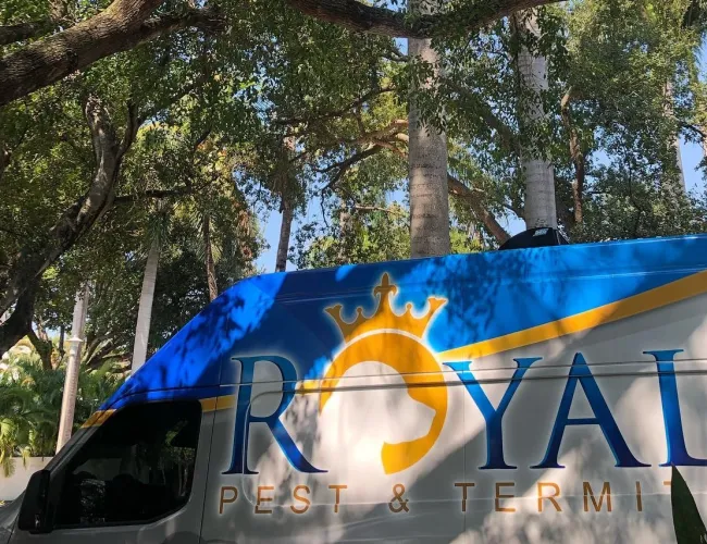 Blue and white Royal Pest & Termite van parked under tall green trees with sunlight filtering through leaves.