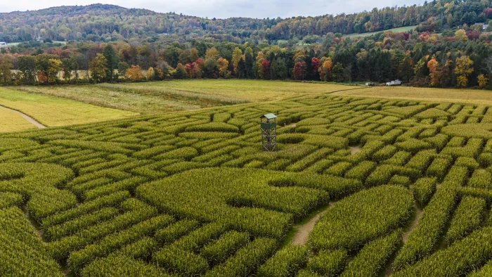 Aerial view of a corn maze with a wooden watchtower surrounded by autumn-colored trees and hills under a cloudy sky.