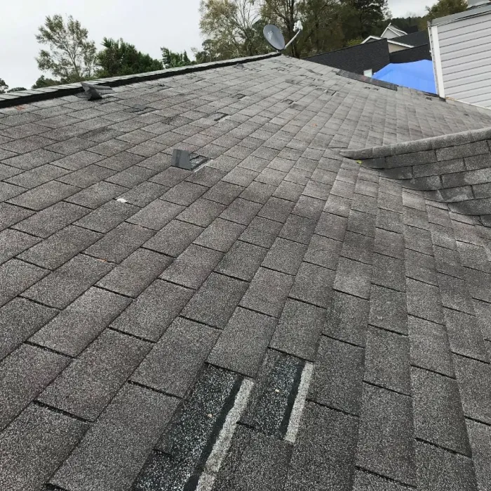 a bird sitting on top of a roof