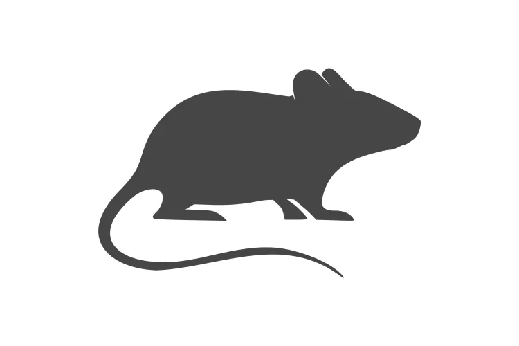 an icon of a mouse