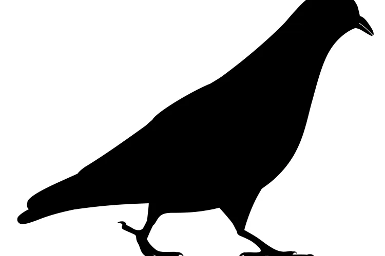 an icon of a pigeon