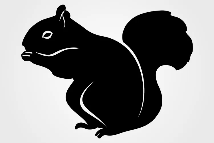 a close up of a squirrel