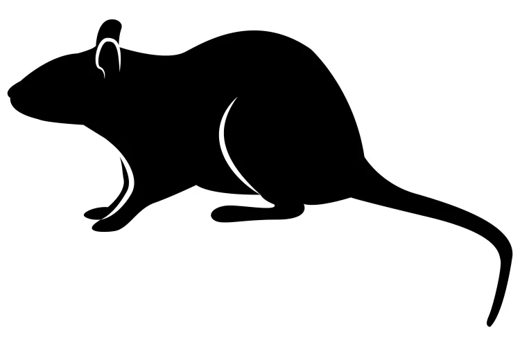 icon of norway rat