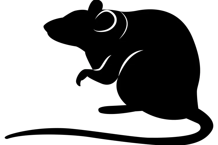 icon of roof rat