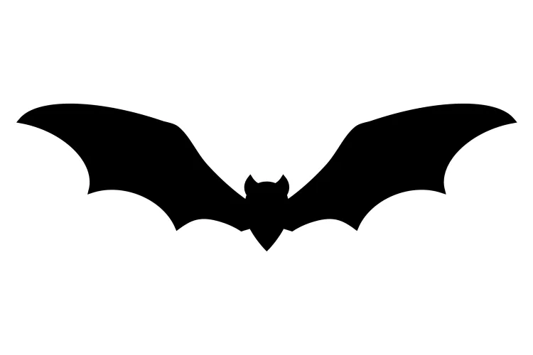 an icon of a flaying bat