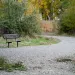 Curved gravel path with empty bench surrounded by autumn trees and green shrubs in a peaceful park setting