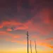 Power lines against a colorful sunset sky with orange and pink clouds over a calm horizon.