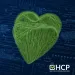 HIPAA Health Data Privacy Rule in Protect Health Information