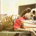 a skull and books on a table