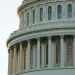 DC Venture Capitalists