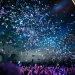 a crowd of people at a concert