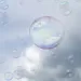a blue and pink jellyfish