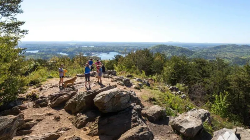 Hikers and a dog on rocky summit overlooking forest, lake, and distant hills under clear sky.