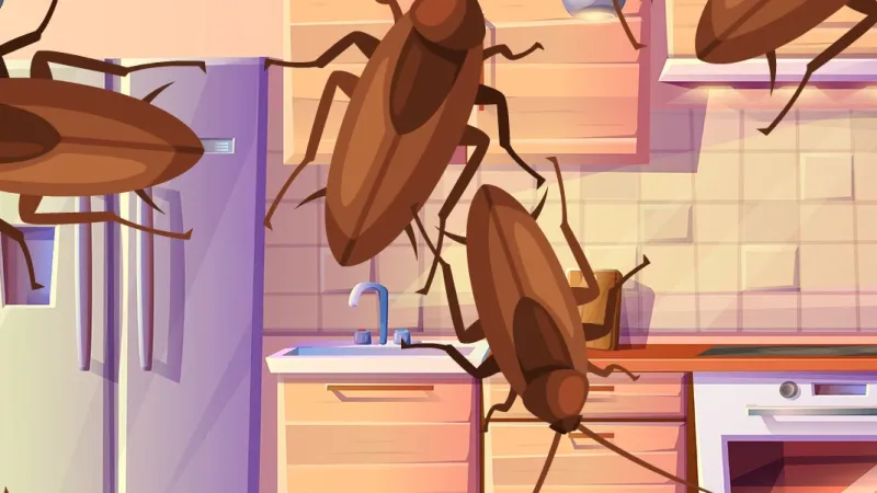 Cockroaches swarming a kitchen with wooden cabinets and modern appliances, indicating pest infestation.