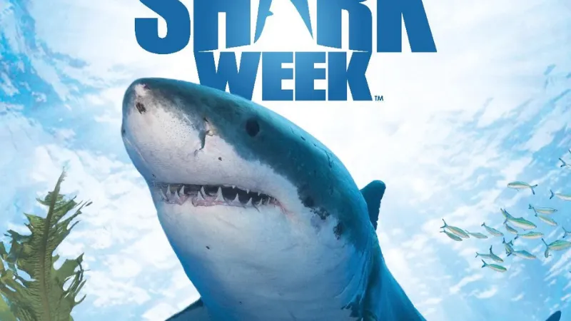 Great white shark swimming underwater with sunlight filtering through ocean surface and Discovery Shark Week text.