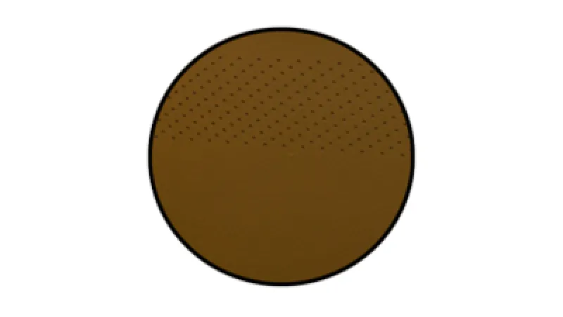 Brown circle with a pattern of small dots on the upper half and solid color on the lower half.