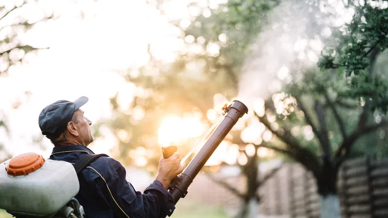 a person holding a baseball bat