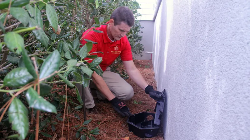 a man squatting next to a plant with a rodent trap