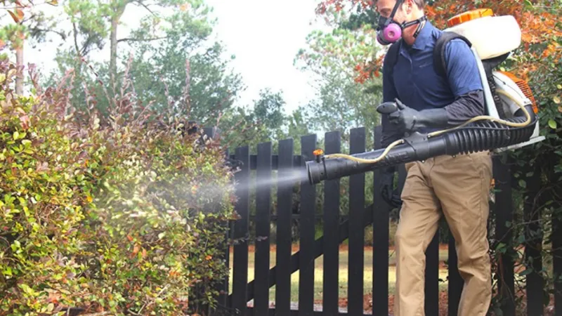 Man wearing mask and gloves spraying pesticide on garden shrubs with backpack sprayer near black wooden fence.