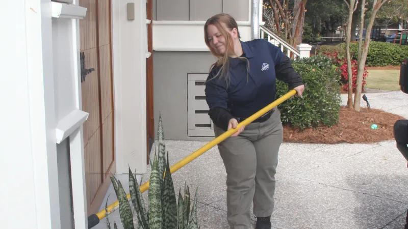 knocking down spider webs