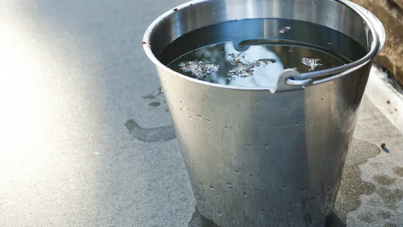 Metal bucket filled with water and floating leaves sitting on a concrete surface near a brick wall.