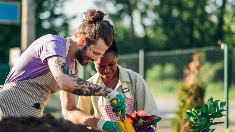 Young man and woman gardening and landscaping together outdoors