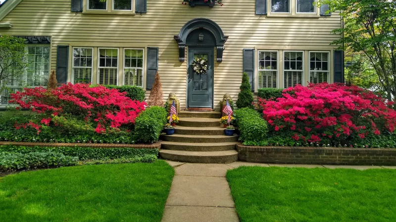 a yard after fertilization in marietta ga