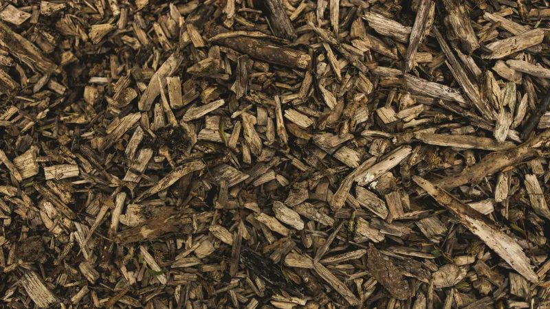a pile of brown leaves
