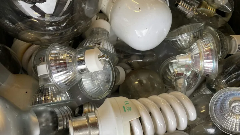 Pile of various types of light bulbs including incandescent, LED, halogen, and spiral fluorescent bulbs.