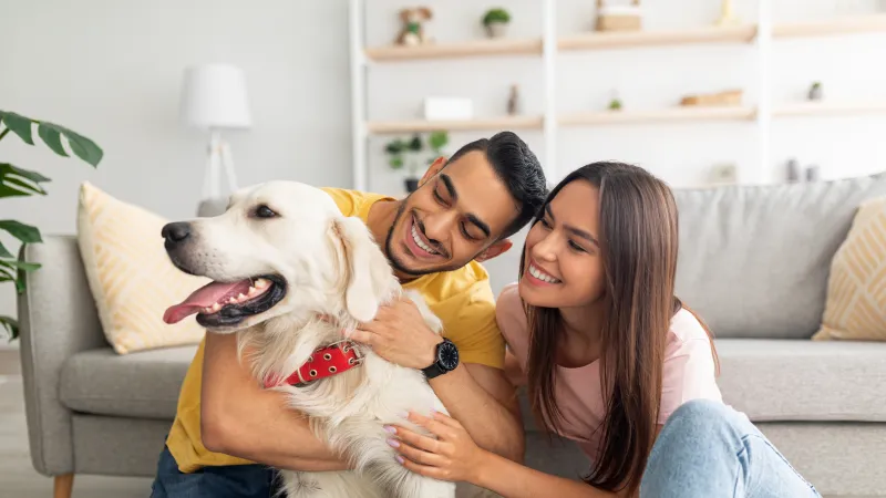 Happy couple sitting on the floor at home cuddling their golden retriever dog with smiles.