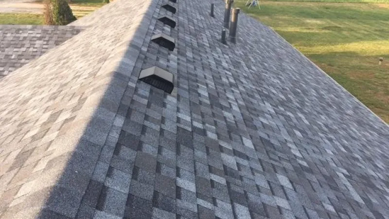 This shingle, along with the shadow lines, gives the roof beautiful dimensions.