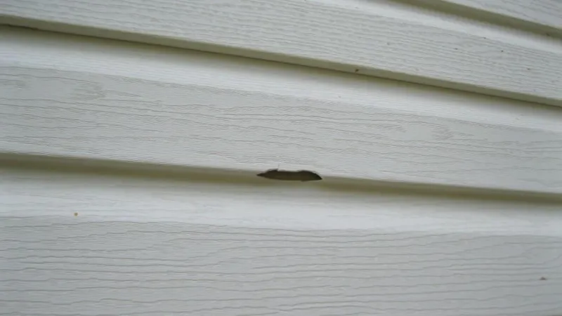 You can bet when your vinyl siding has holes in it from hail, your roof is ruined! This house in Fayetteville, GA really took a beating!