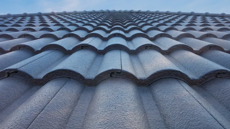 the roof of a building