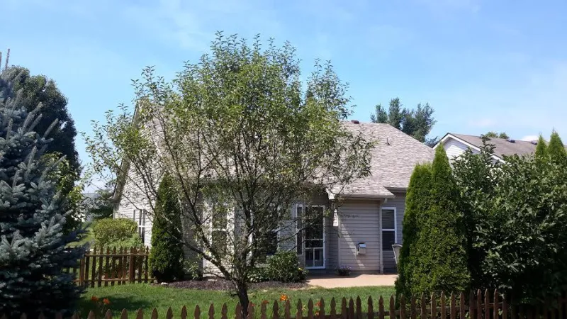 The Duration shingles have built-in SureNail Technology strips, ensuring that your shingles are warranted for up to 130 mph wind gusts.