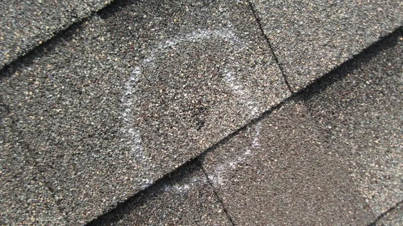 Many people think hail doesn't damage architectural roofs. This three-year-old architectural shingle in Fayetteville, GA begs to differ!