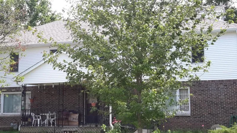 This is Mastic Ovation Siding in the White color.