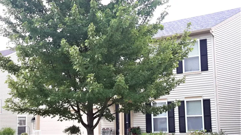 All Roof It Forward roofing systems come with matching drip edges and gutter aprons; these are vital parts of your home's roof.