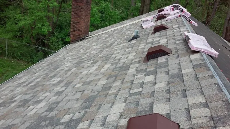 These are Owens Corning Duration Shingles. They have striking beauty and a 130 mph wind rating. The color is Sand Dune.