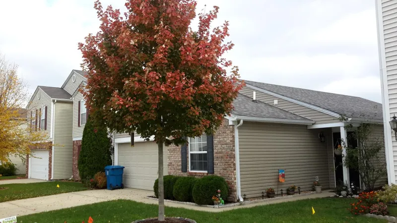 These are Owens Corning Duration Shingles in the Colonial Slate color. The shadow lines and dimensional design will give your home a sleeker look.
